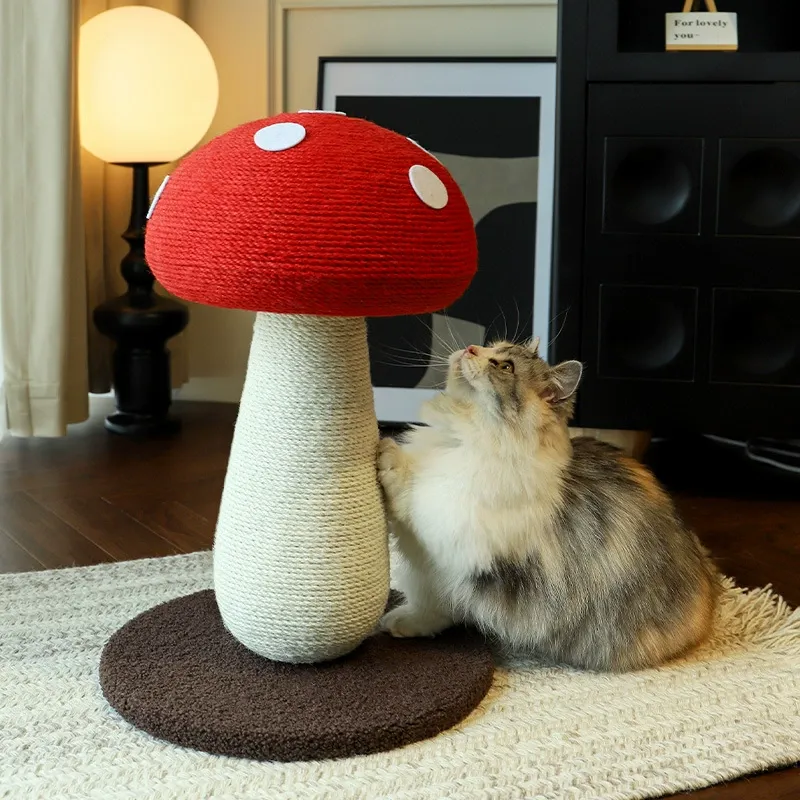 cat toys