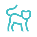 imgi 13 小猫